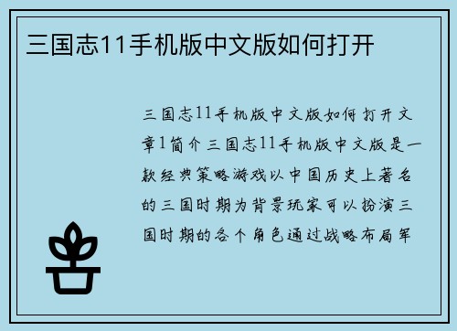 三国志11手机版中文版如何打开